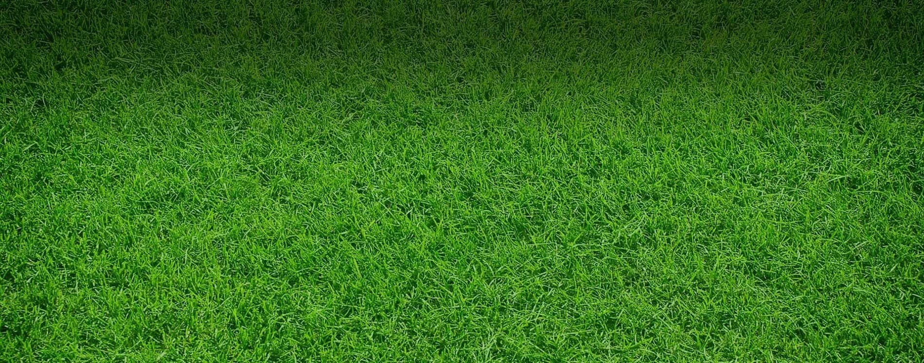 Practice Play Junior cricket surface